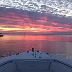 Nid D'arguin Nyaraló