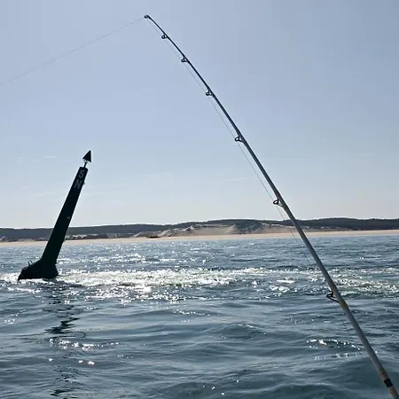 Dom wakacyjny Nid D'arguin