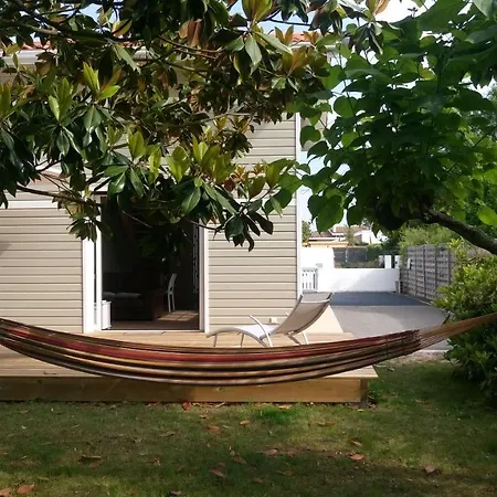 Nid D'arguin La Teste-de-Buch