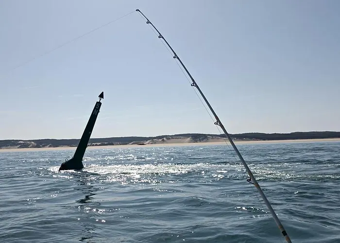 Dom wakacyjny Nid D'arguin