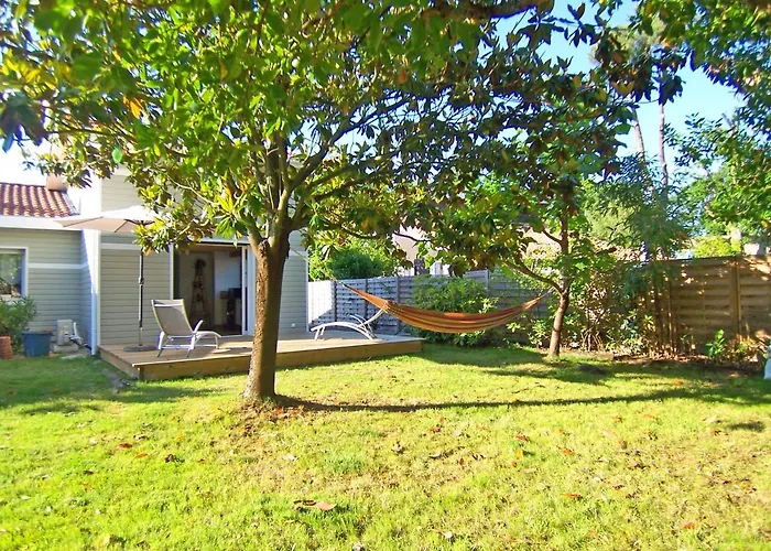 Nid D'arguin La Teste-de-Buch